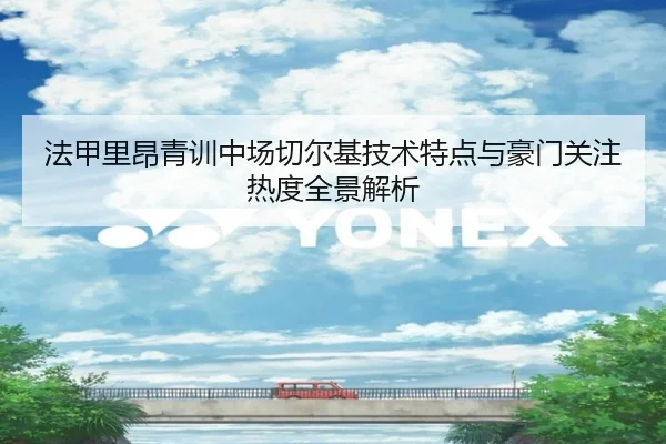 法甲里昂青训中场切尔基技术特点与豪门关注热度全景解析